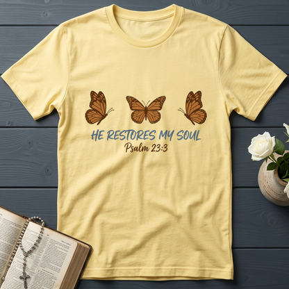 He Restores My Soul Psalm 23.3 05