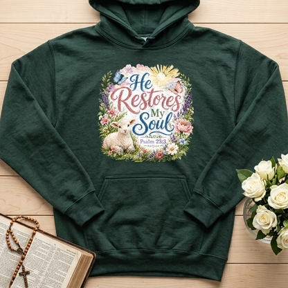 He Restores My Soul Psalm 23.3 09