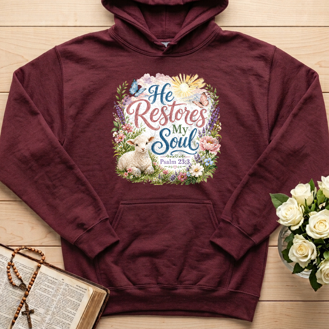 He Restores My Soul Psalm 23.3 09