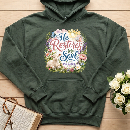 He Restores My Soul Psalm 23.3 09