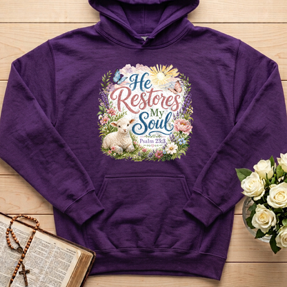 He Restores My Soul Psalm 23.3 09
