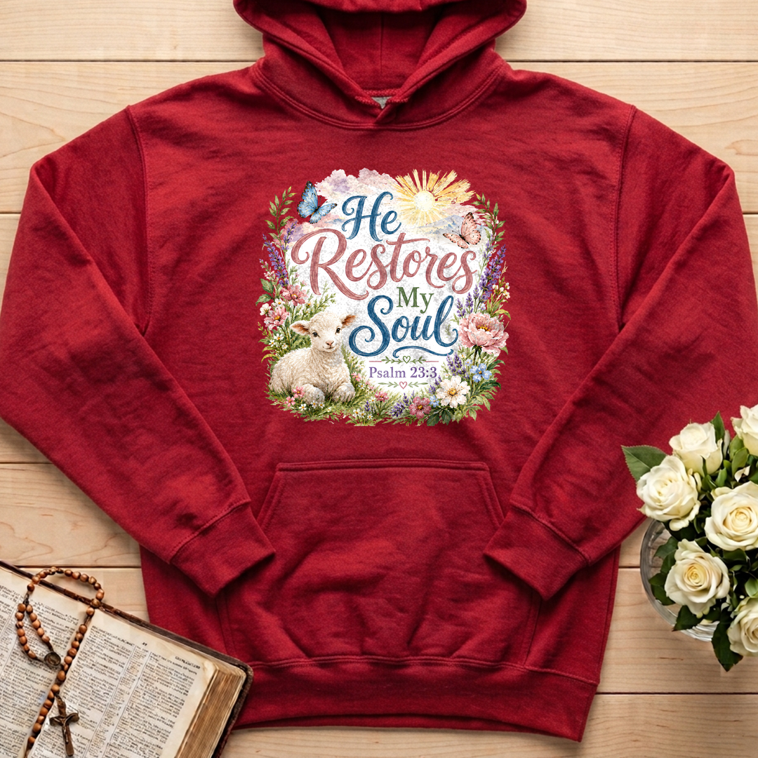 He Restores My Soul Psalm 23.3 09