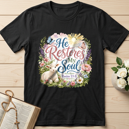 He Restores My Soul Psalm 23.3 09
