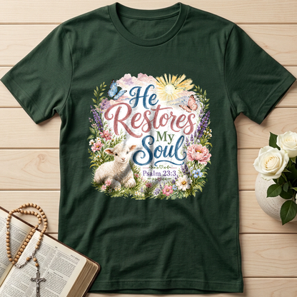 He Restores My Soul Psalm 23.3 09