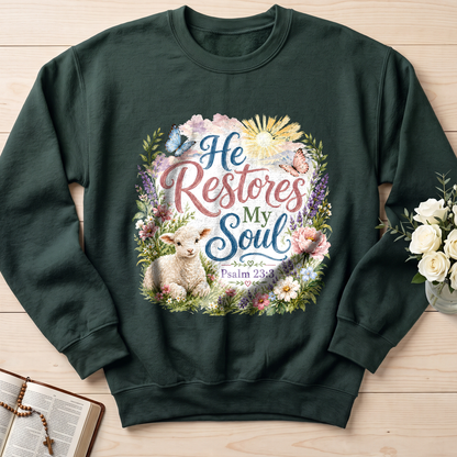 He Restores My Soul Psalm 23.3 09