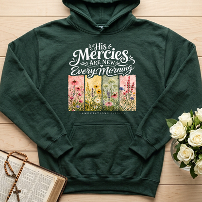 His Mercies Are New Every Morning Lamentations 3.22-23 16