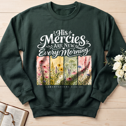 His Mercies Are New Every Morning Lamentations 3.22-23 16