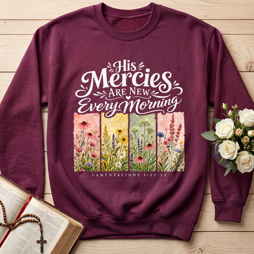 His Mercies Are New Every Morning Lamentations 3.22-23 16