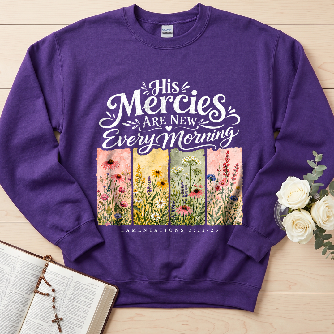 His Mercies Are New Every Morning Lamentations 3.22-23 16