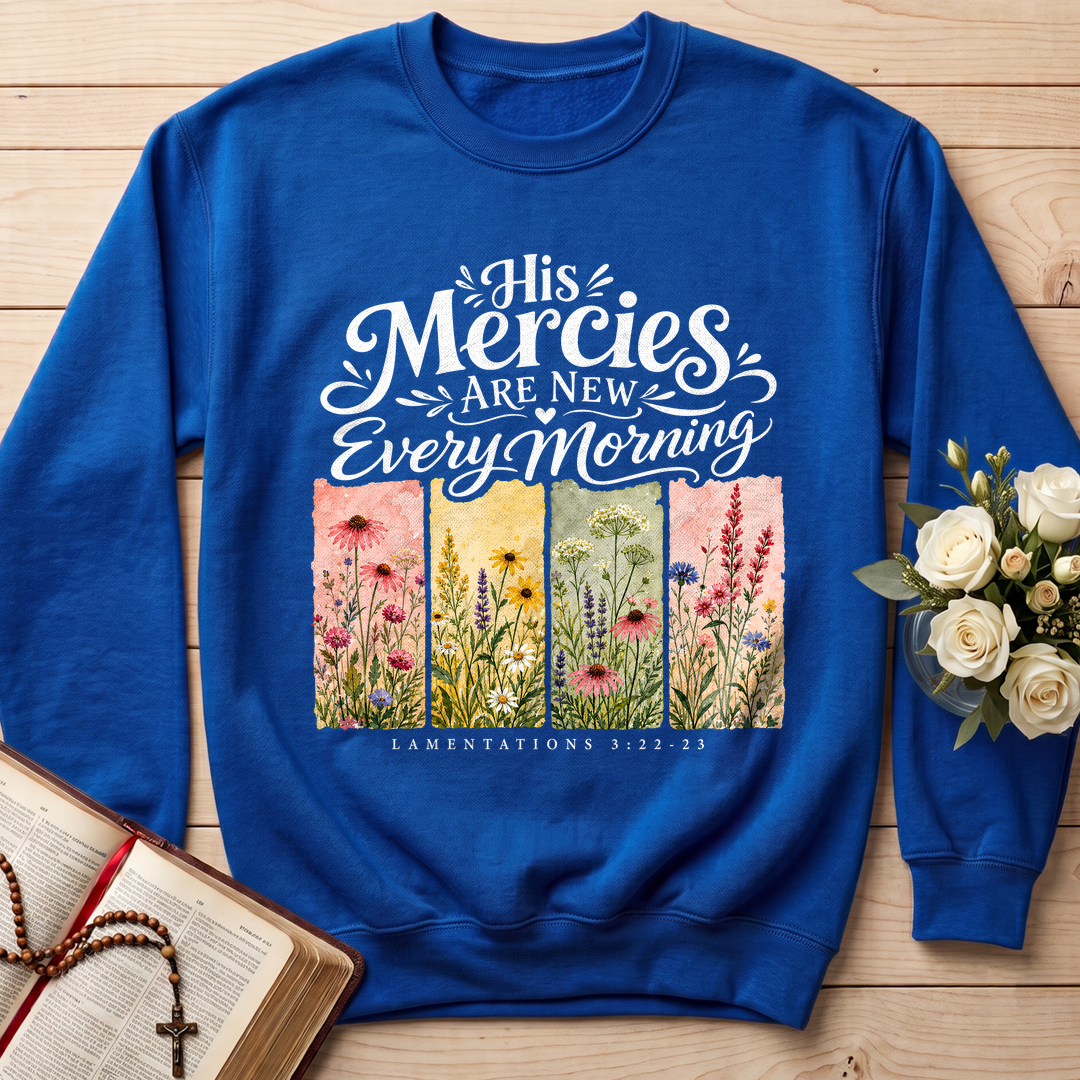 His Mercies Are New Every Morning Lamentations 3.22-23 16