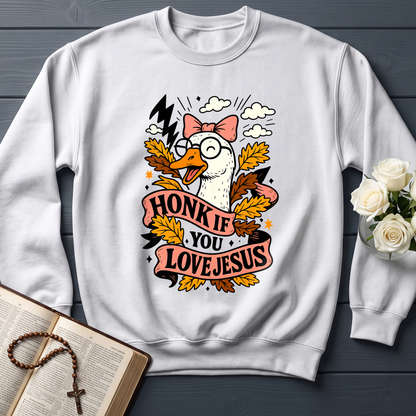 Honk If You Love Jesus 01