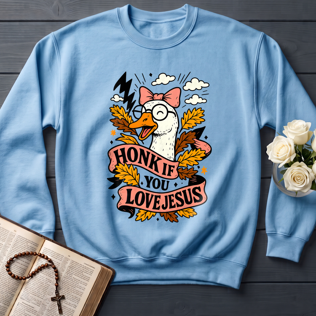 Honk If You Love Jesus 01