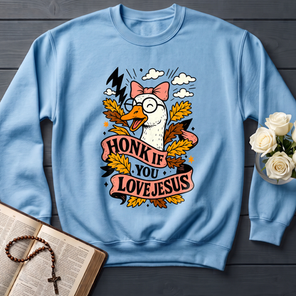 Honk If You Love Jesus 01