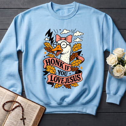 Honk If You Love Jesus 01