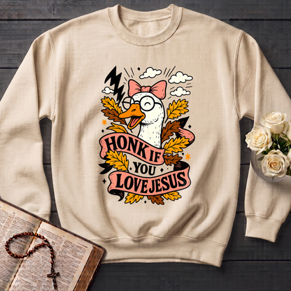 Honk If You Love Jesus 01