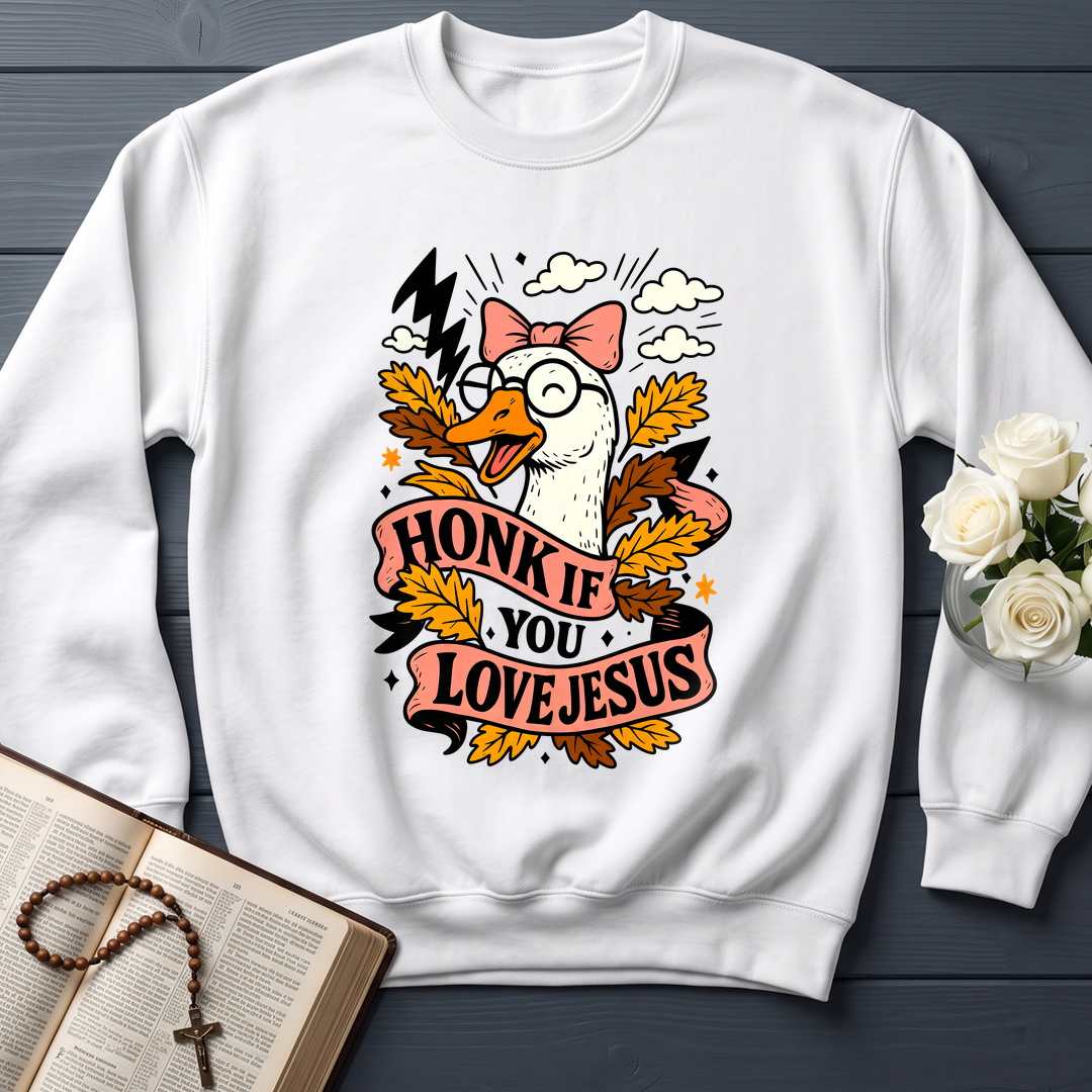 Honk If You Love Jesus 01