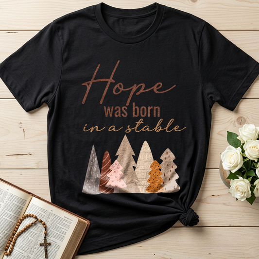 Hope Was Born In A Stable 01