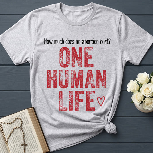 How Much Does An Abortion Cost 01