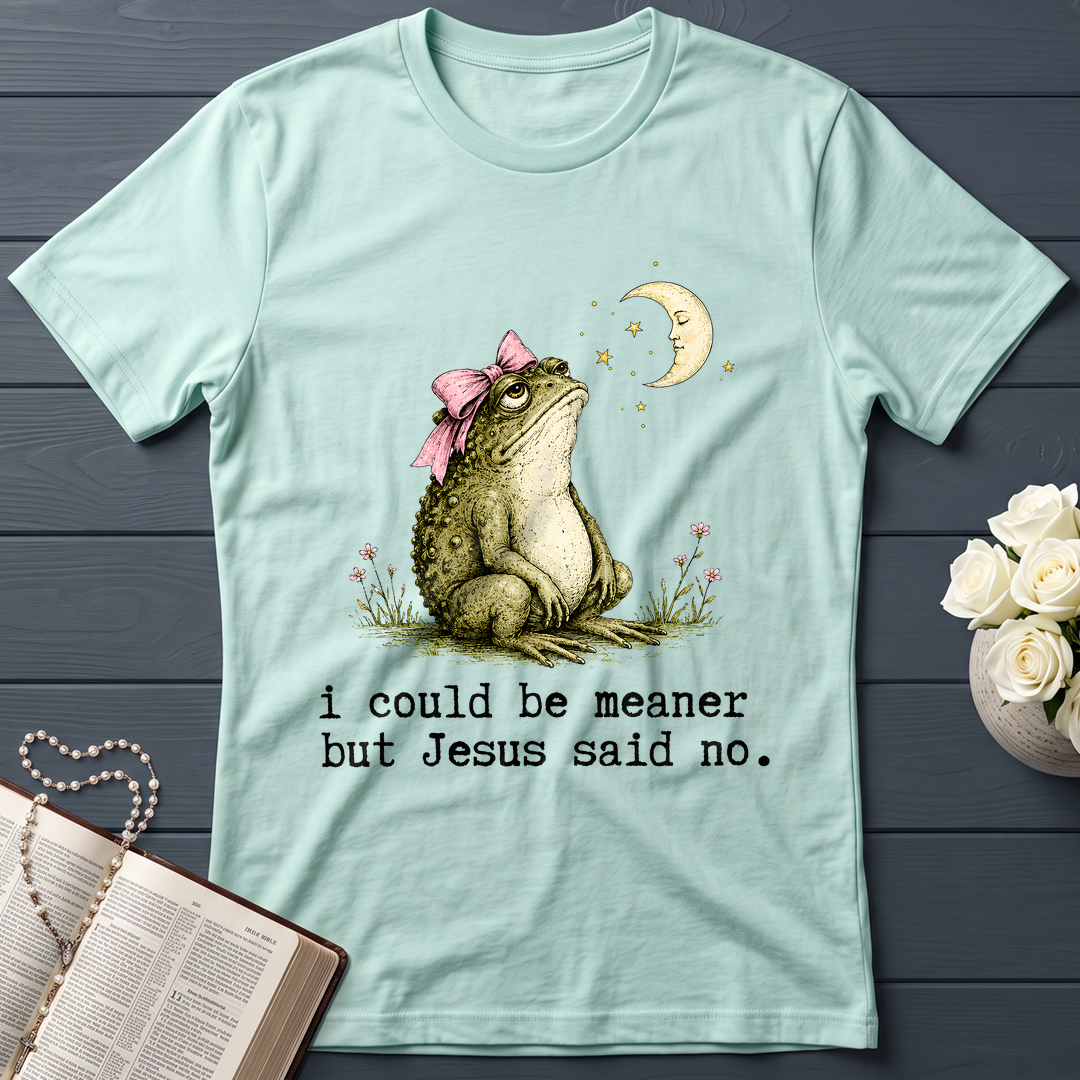 I Could Be Meaner But Jesus Said No 01