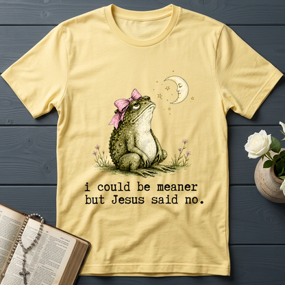 I Could Be Meaner But Jesus Said No 01