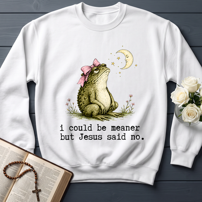 I Could Be Meaner But Jesus Said No 01
