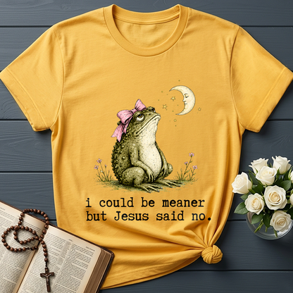I Could Be Meaner But Jesus Said No 01