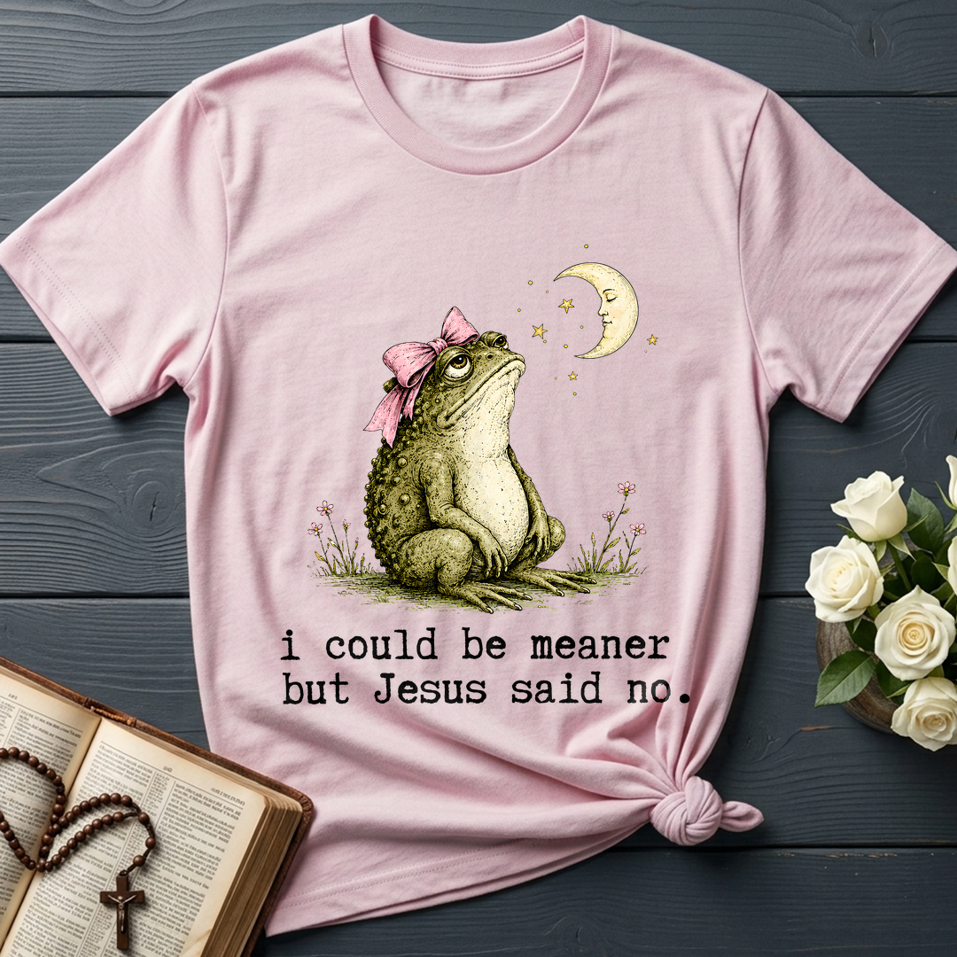 I Could Be Meaner But Jesus Said No 01