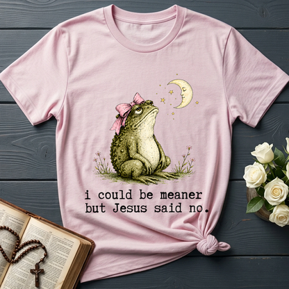 I Could Be Meaner But Jesus Said No 01