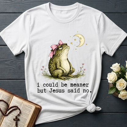 I Could Be Meaner But Jesus Said No 01