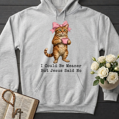 I Could Be Meaner But Jesus Said No 02
