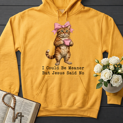 I Could Be Meaner But Jesus Said No 02