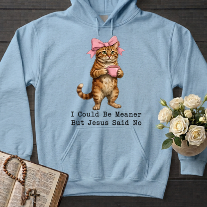 I Could Be Meaner But Jesus Said No 02