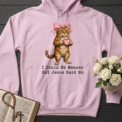 I Could Be Meaner But Jesus Said No 02