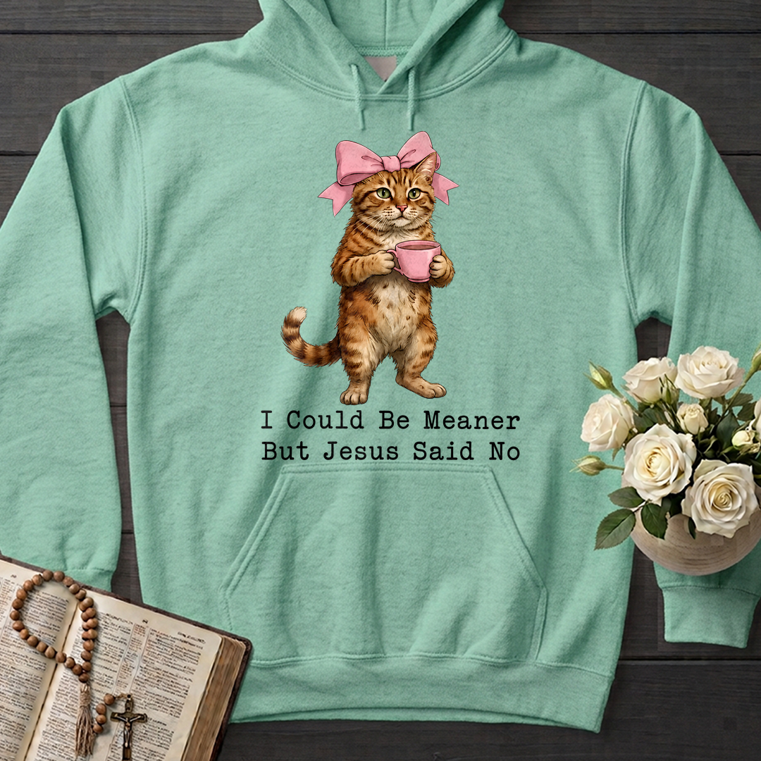 I Could Be Meaner But Jesus Said No 02