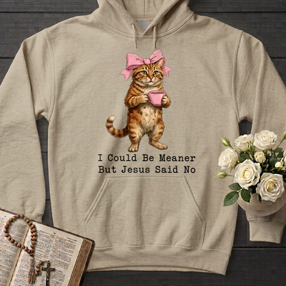 I Could Be Meaner But Jesus Said No 02