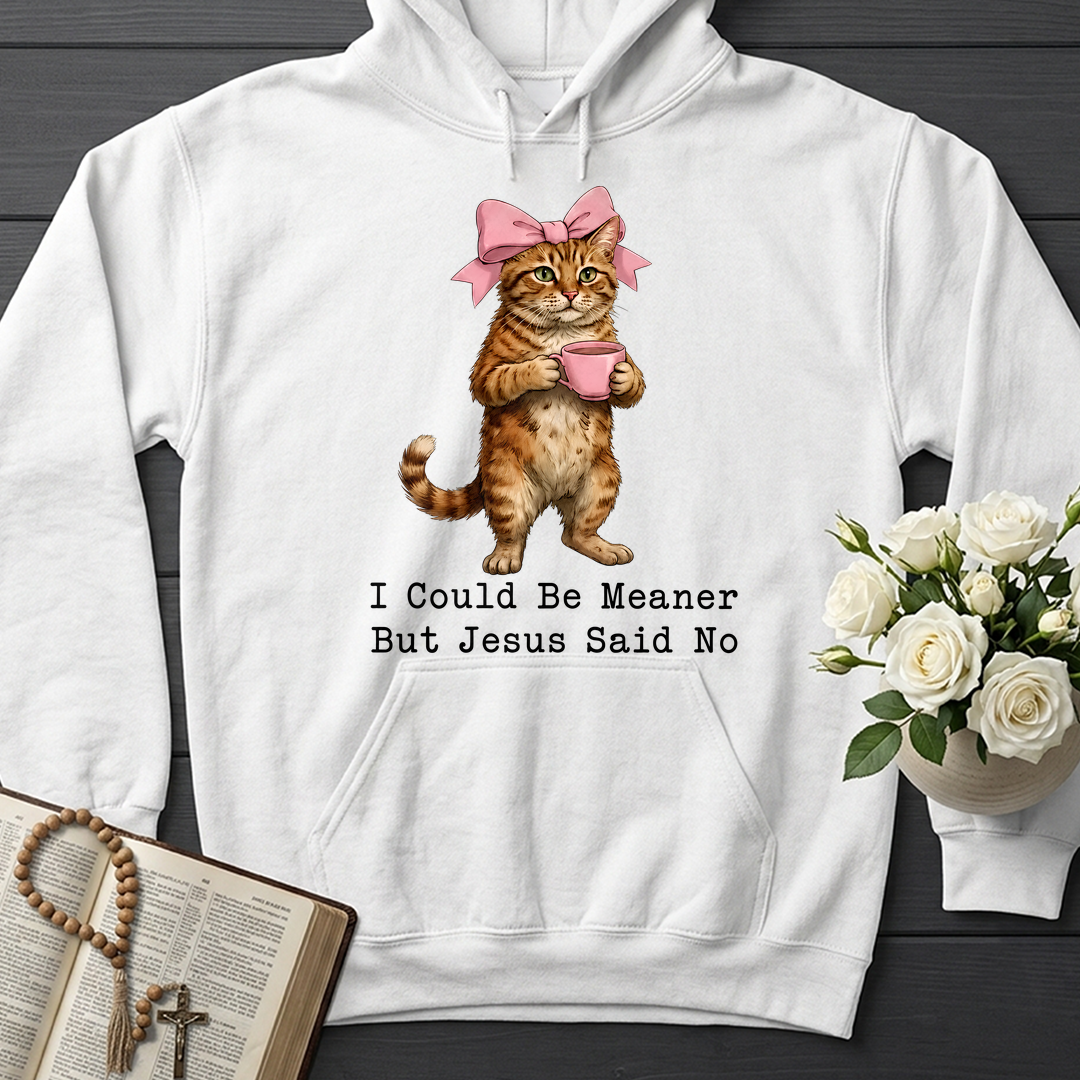I Could Be Meaner But Jesus Said No 02