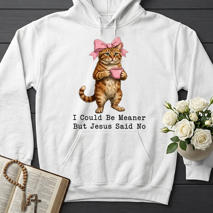 I Could Be Meaner But Jesus Said No 02