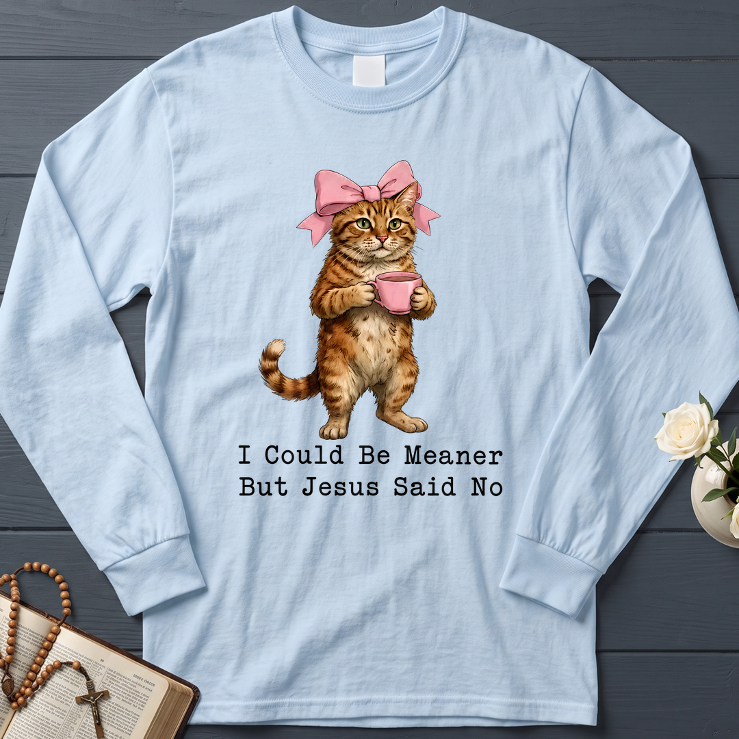 I Could Be Meaner But Jesus Said No 02