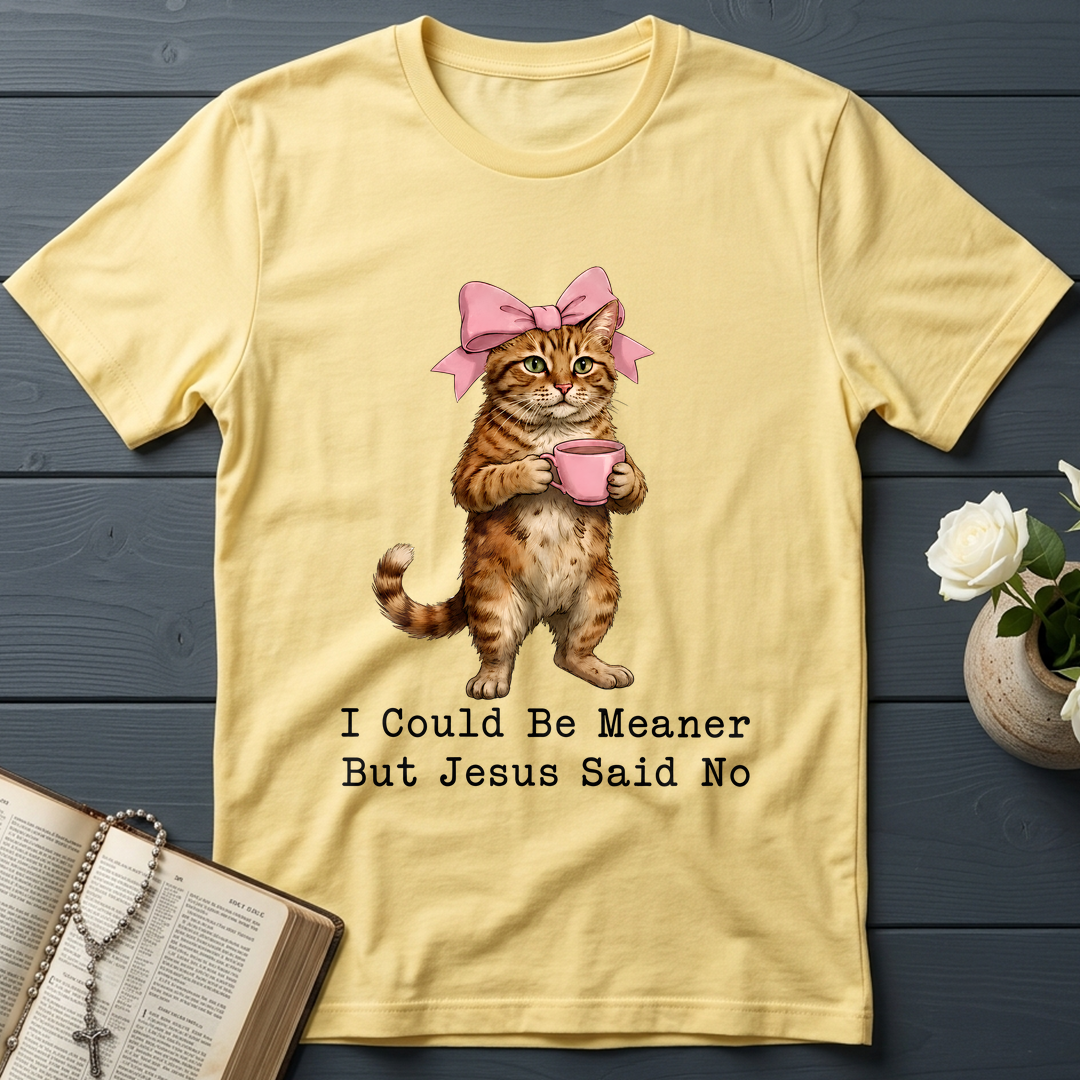 I Could Be Meaner But Jesus Said No 02