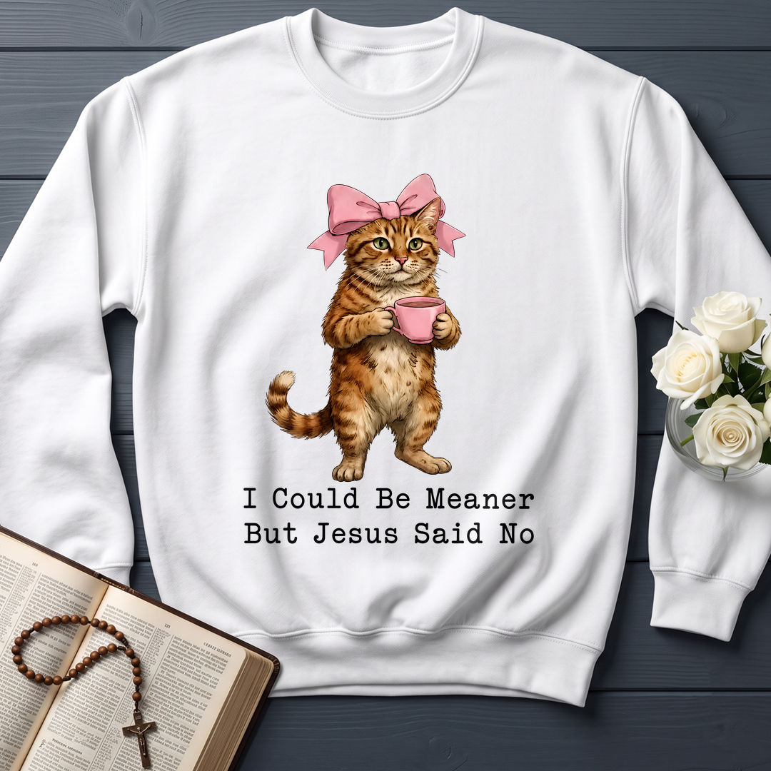 I Could Be Meaner But Jesus Said No 02