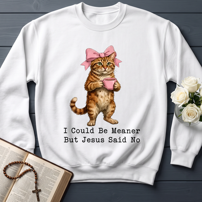 I Could Be Meaner But Jesus Said No 02