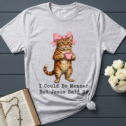 I Could Be Meaner But Jesus Said No 02