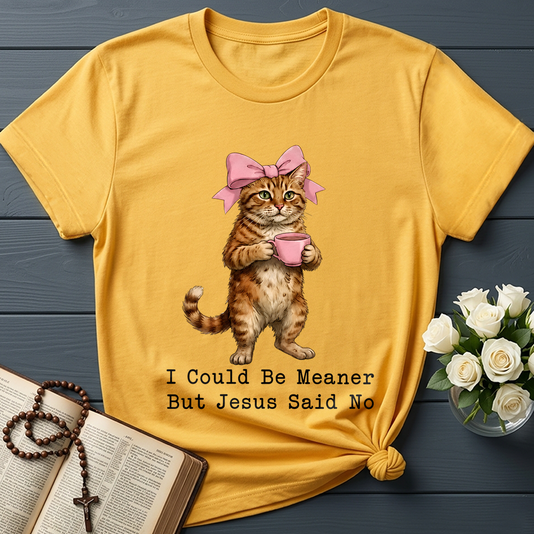 I Could Be Meaner But Jesus Said No 02