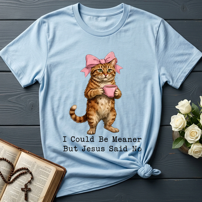 I Could Be Meaner But Jesus Said No 02