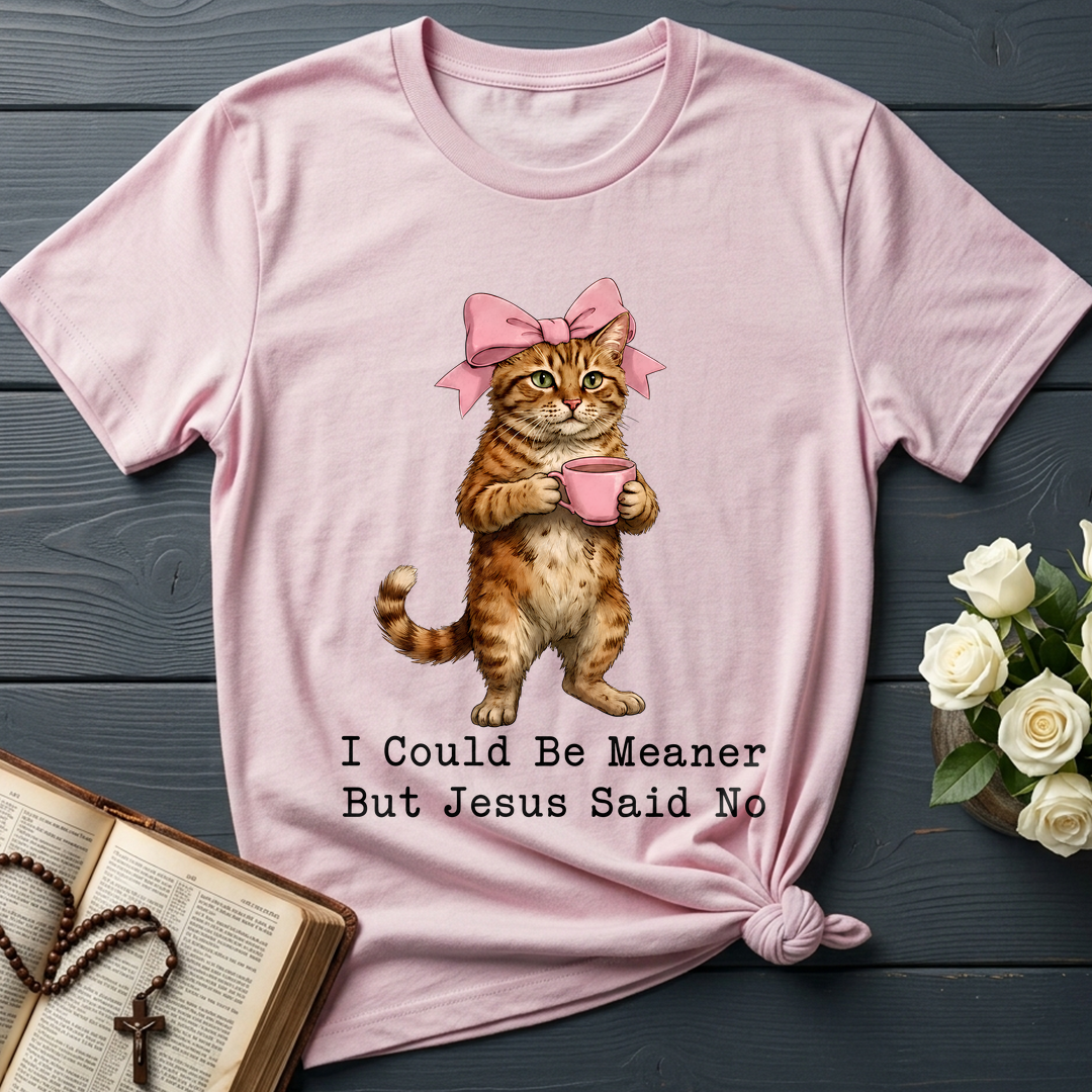 I Could Be Meaner But Jesus Said No 02