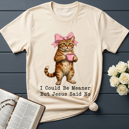 I Could Be Meaner But Jesus Said No 02