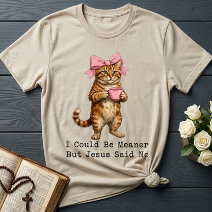 I Could Be Meaner But Jesus Said No 02