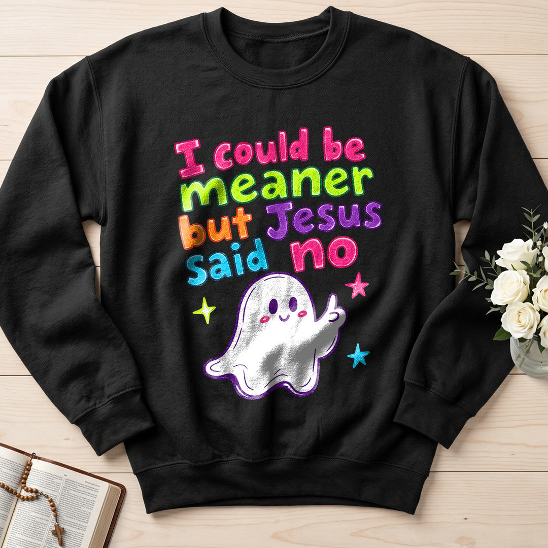 I Could Be Meaner But Jesus Said No 07