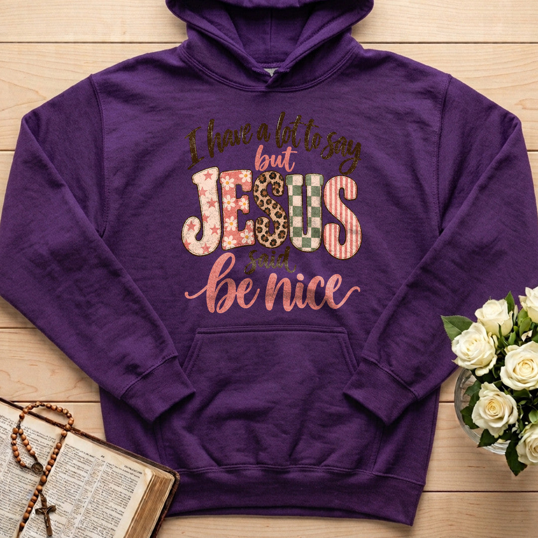 I Have A Lot To Say But Jesus Said Be Nice 02