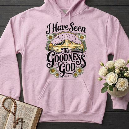 I Have Seen The Goodness Of God 02
